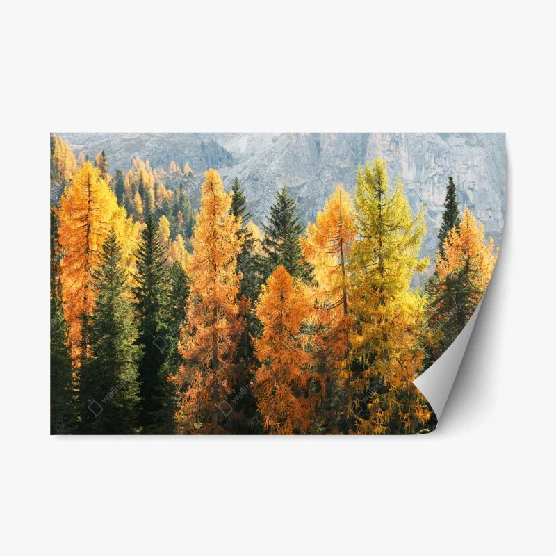 Adesivo riposizionabile larici d'autunno in luce dorata