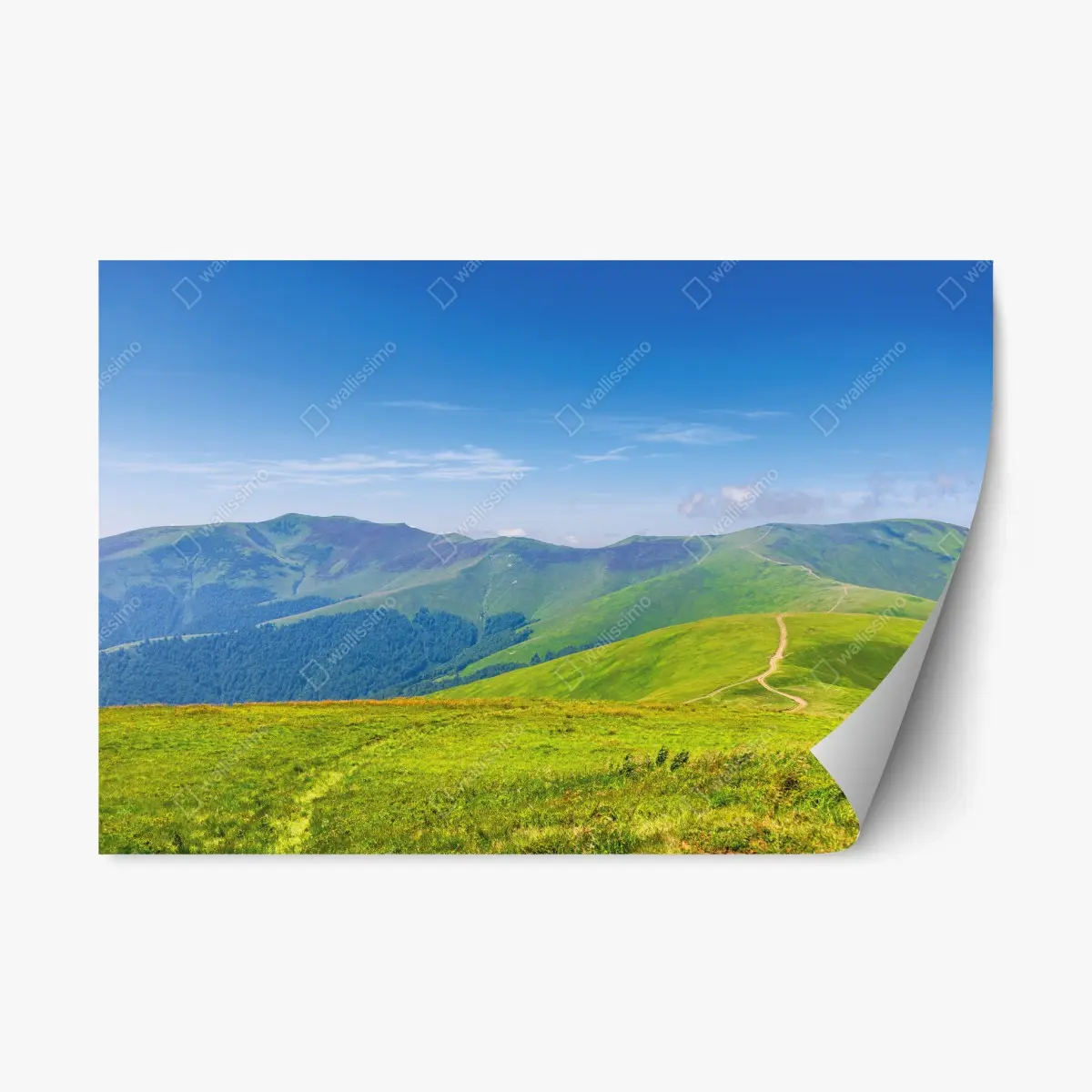 Adesivo riposizionabile sentiero sulle colline di Borzhava • Wallissimo®