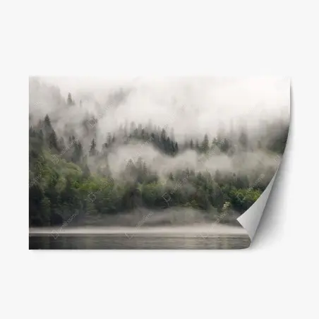 Adesivo riposizionabile nebbia tra le conifere di British Columbia • Wallissimo®
