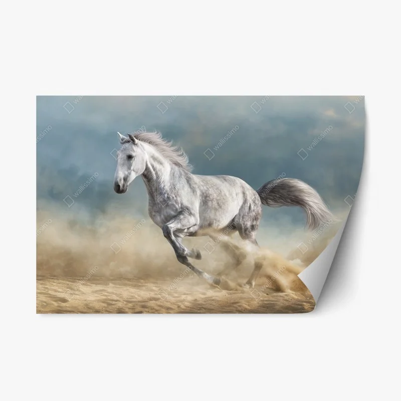 Adesivo riposizionabile cavallo grigio in corsa su sfondo drammatico