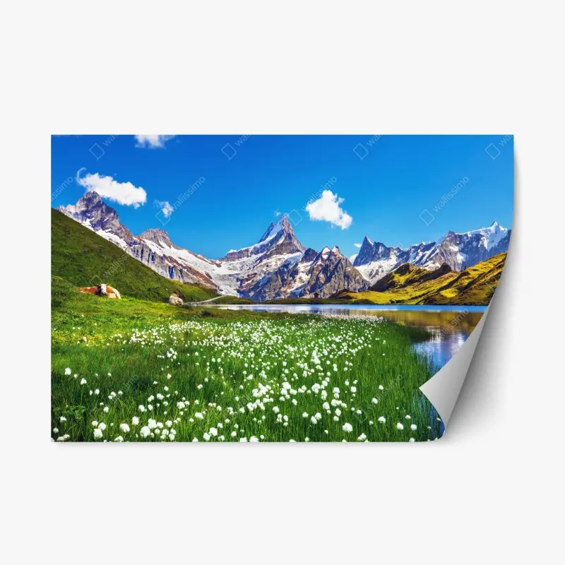 Adesivo riposizionabile paesaggio alpino con lago cristallino e prati fioriti