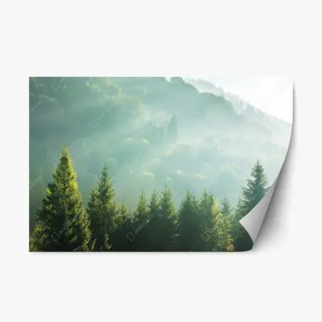 Adesivo riposizionabile alba tra gli abeti nella nebbia • Wallissimo®