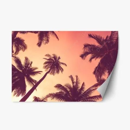 Adesivo riposizionabile tramonto tropicale con palme • Wallissimo®