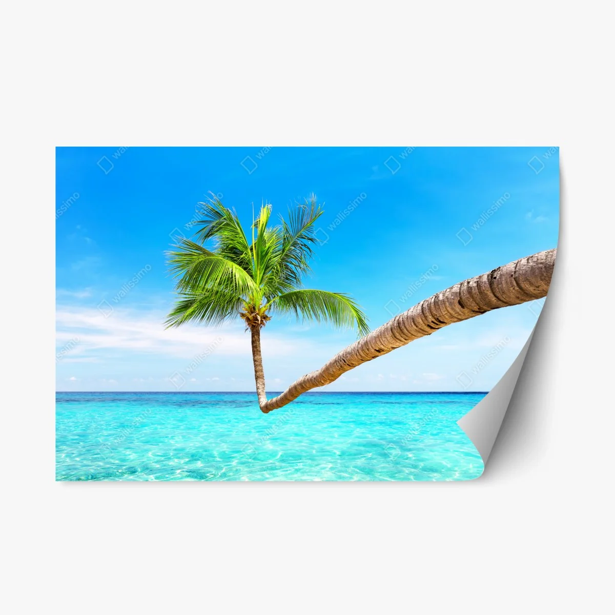 Adesivo riposizionabile oasi tropicale a Punta Cana • Wallissimo® Adesivo riposizionabile oasi tropicale a Punta Cana • Wallissimo®