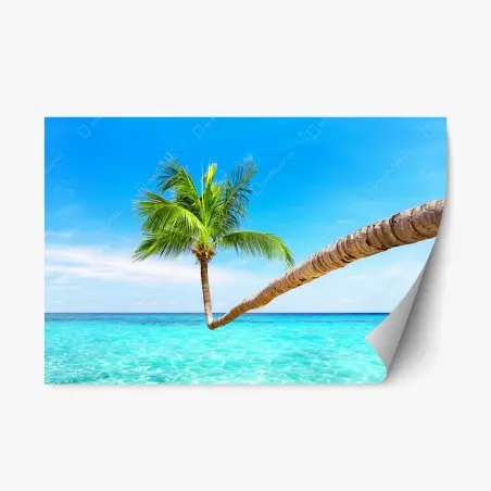 Adesivo riposizionabile oasi tropicale a Punta Cana • Wallissimo®