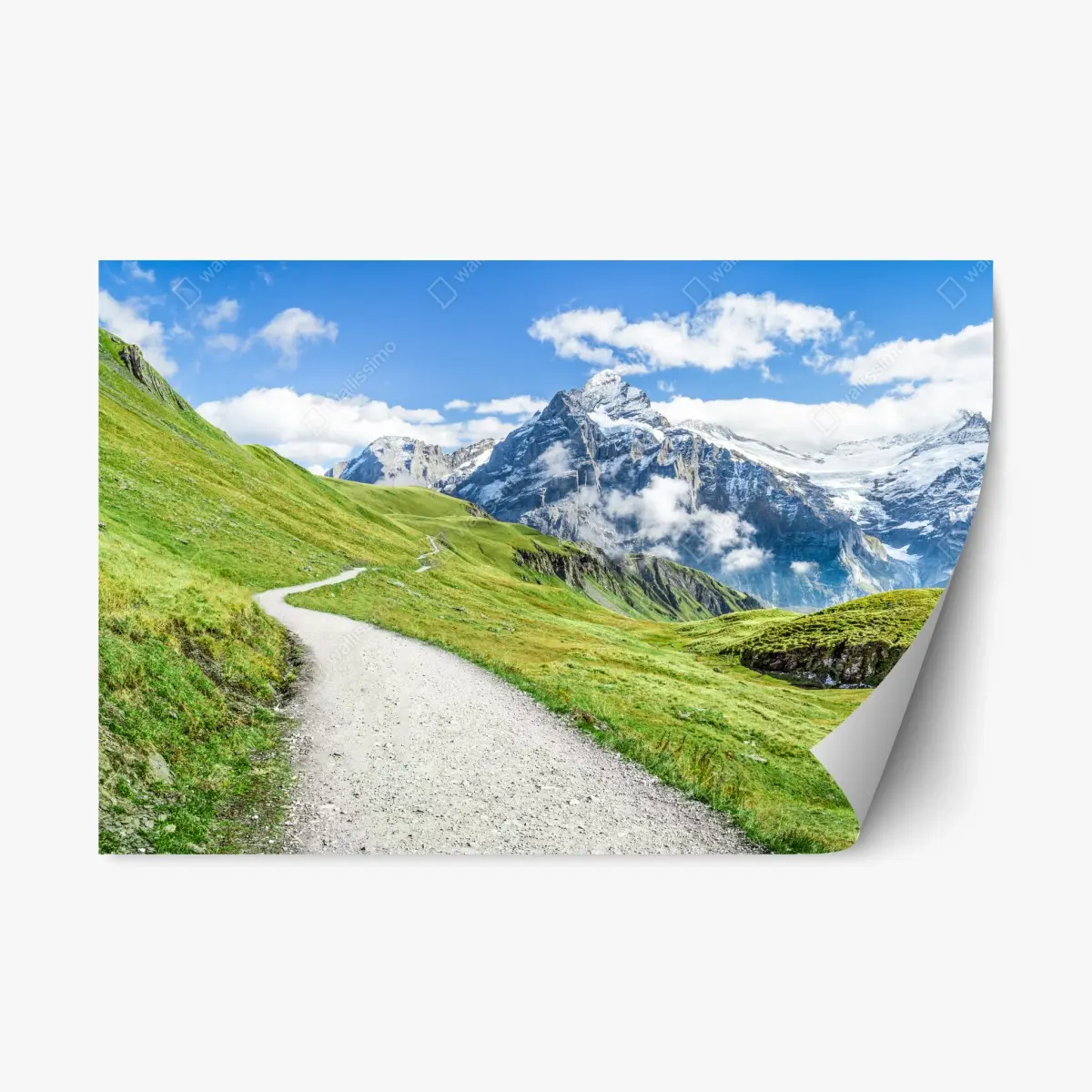 Adesivo riposizionabile sentiero alpino verso vette innevate • Wallissimo®