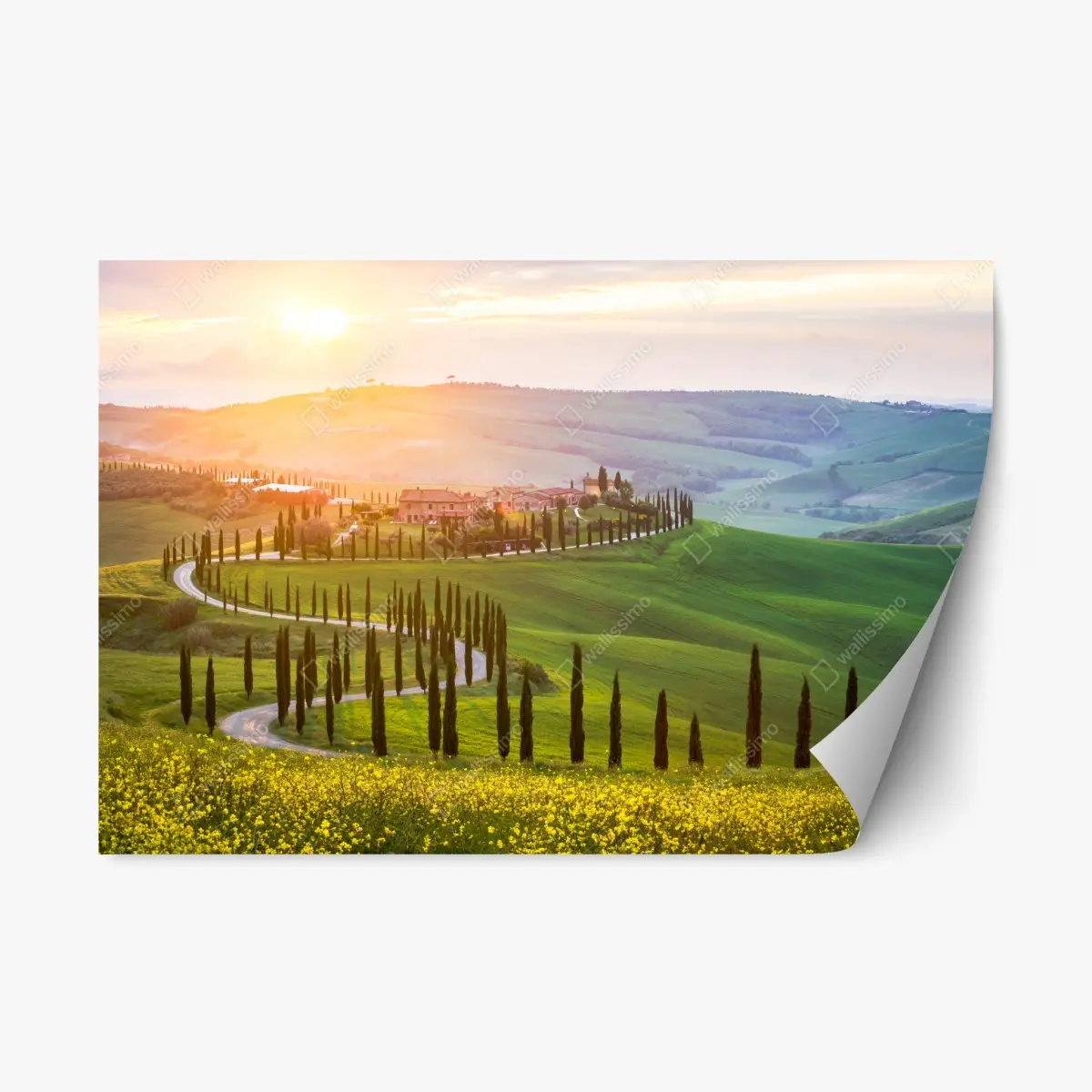 Adesivo riposizionabile paesaggio collinare all'alba • Wallissimo®