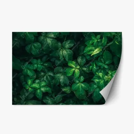 Adesivo riposizionabile fogliame tropicale in verde profondo • Wallissimo®
