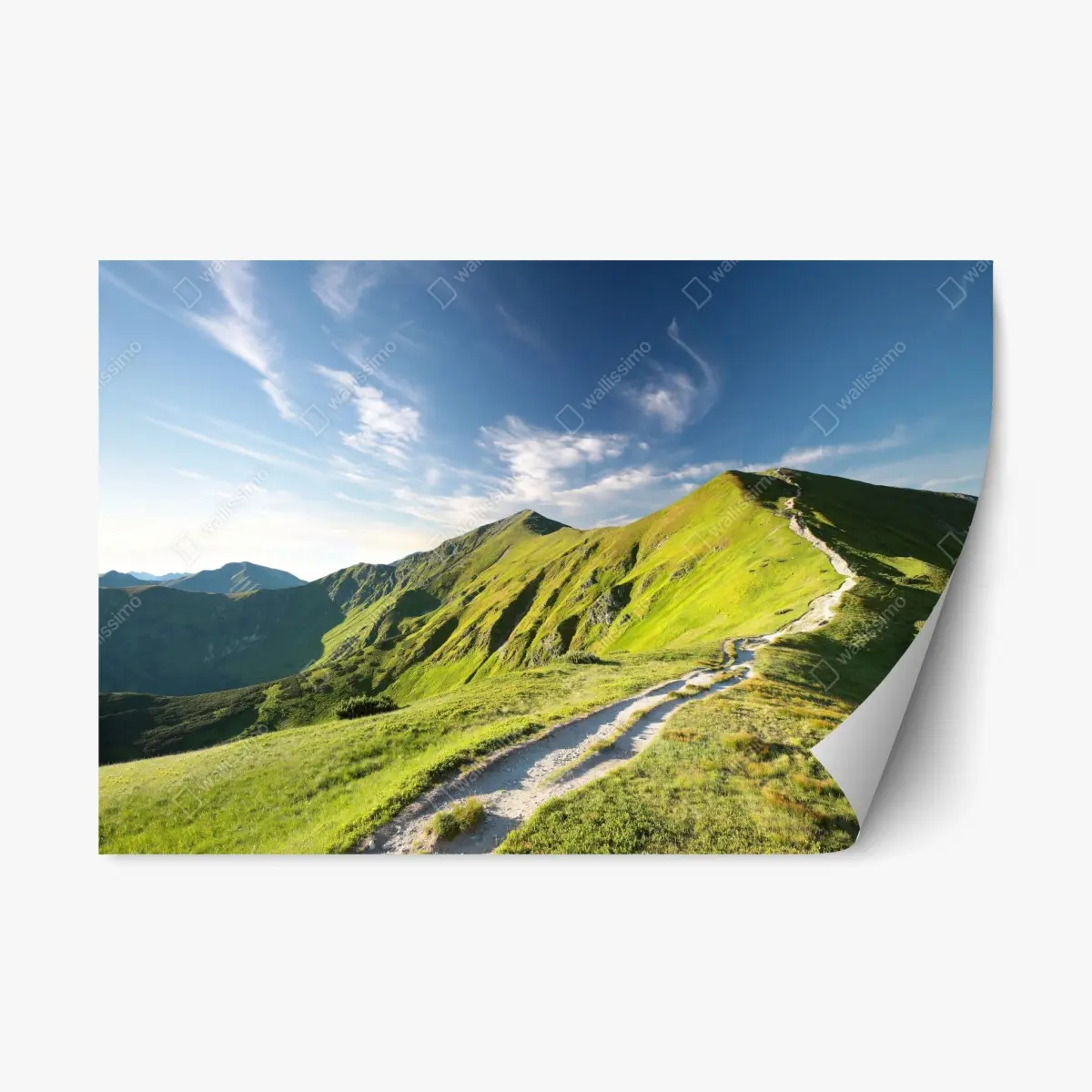 Adesivo riposizionabile sentiero verso la vetta in colline verdi • Wallissimo®