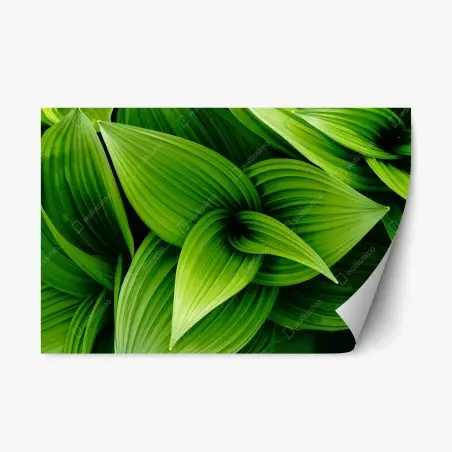 Adesivo riposizionabile motivo botanico di foglie verdi • Wallissimo®