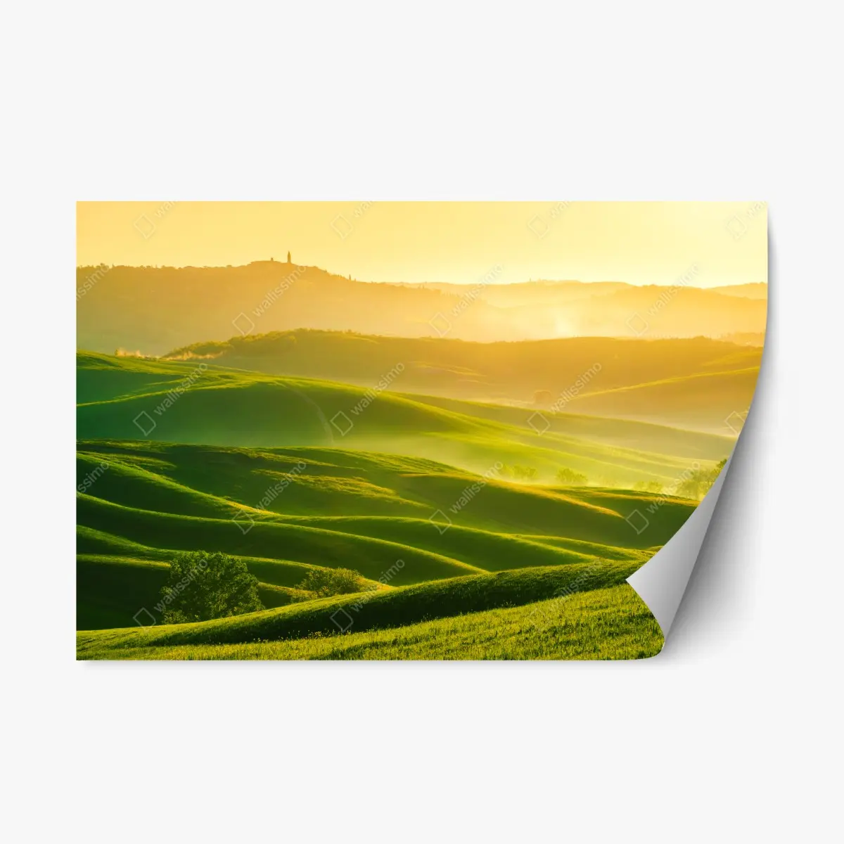 Adesivo riposizionabile morbide colline dorate all'alba • Wallissimo®