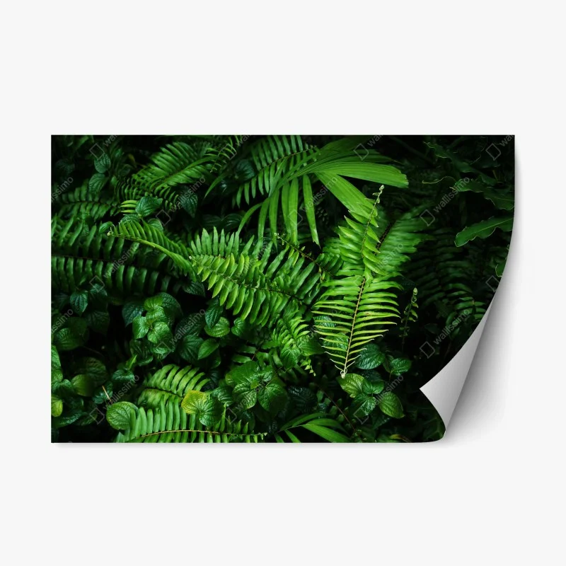Adesivo riposizionabile parete verde di felci tropicali