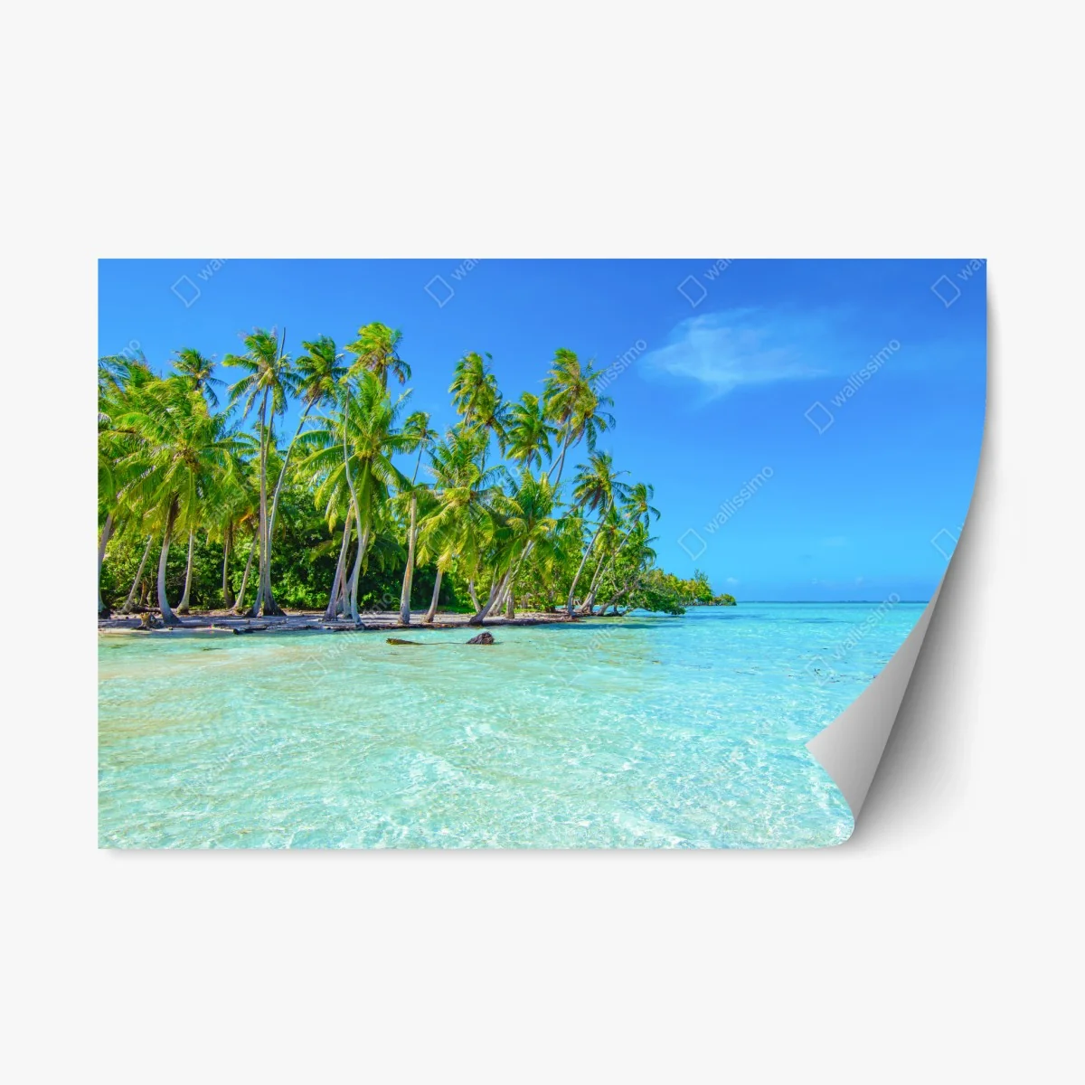 Adesivo riposizionabile paesaggio tropicale con palme e mare turchese • Wallissimo® Adesivo riposizionabile paesaggio tropicale con palme e mare turchese • Wallissimo®