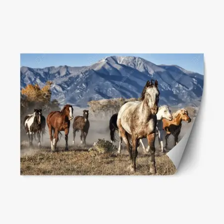 Adesivo riposizionabile mandria in corsa sulle praterie di Zapata Ranch, Colorado • Wallissimo®