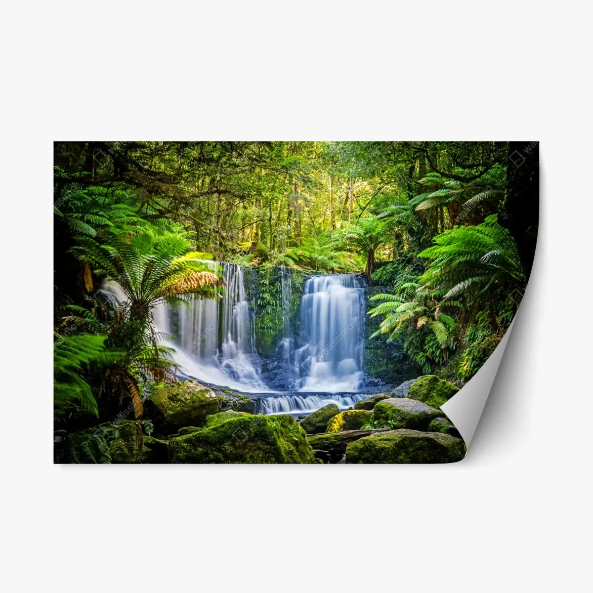 Adesivo riposizionabile oasi verde a Horseshoe Falls, Mt Field, Tasmania • Wallissimo® Adesivo riposizionabile oasi verde a Horseshoe Falls, Mt Field, Tasmania • Wallissimo®