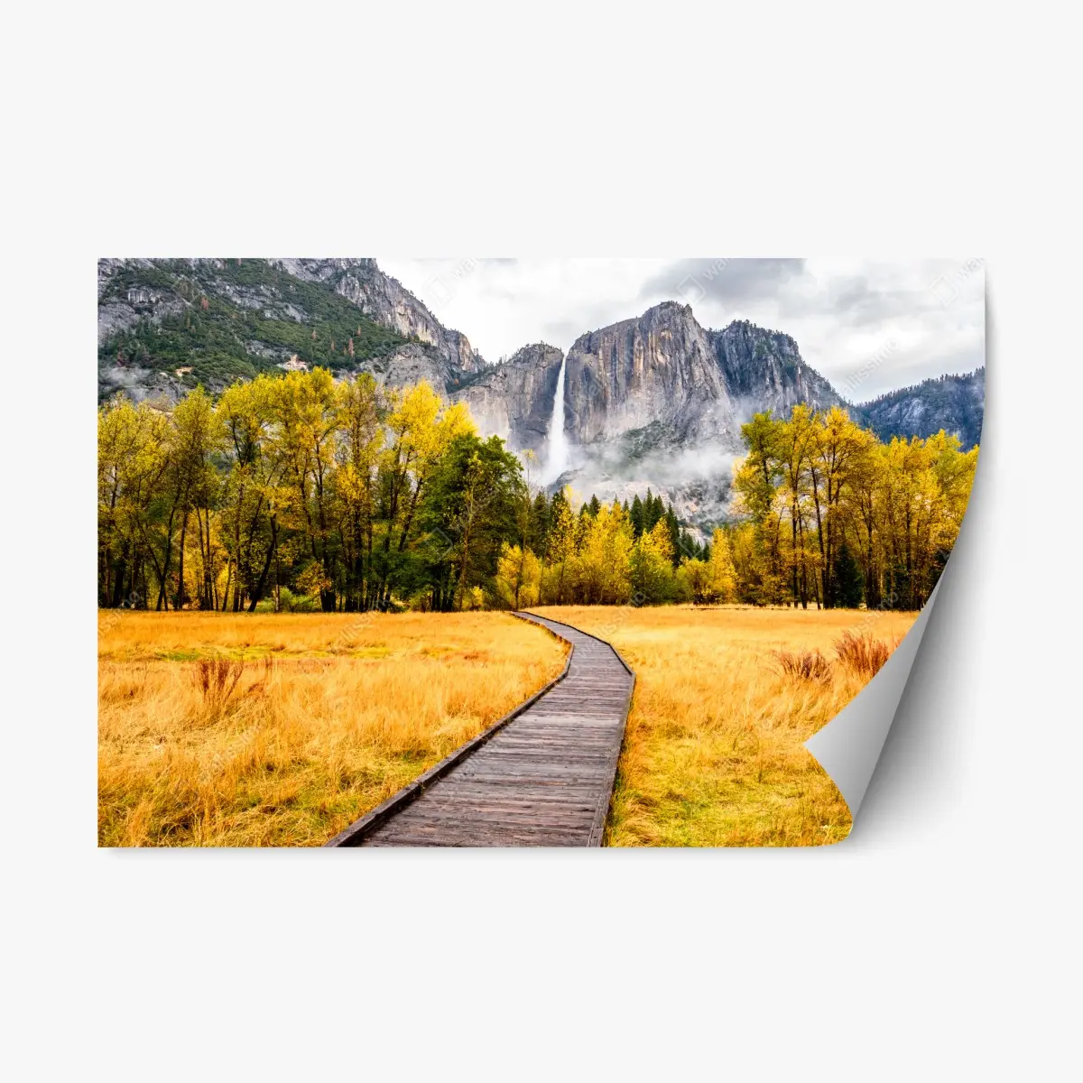 Adesivo riposizionabile sentiero dorato verso la cascata • Wallissimo®