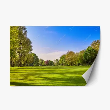 Adesivo riposizionabile parco soleggiato e prato verde • Wallissimo®