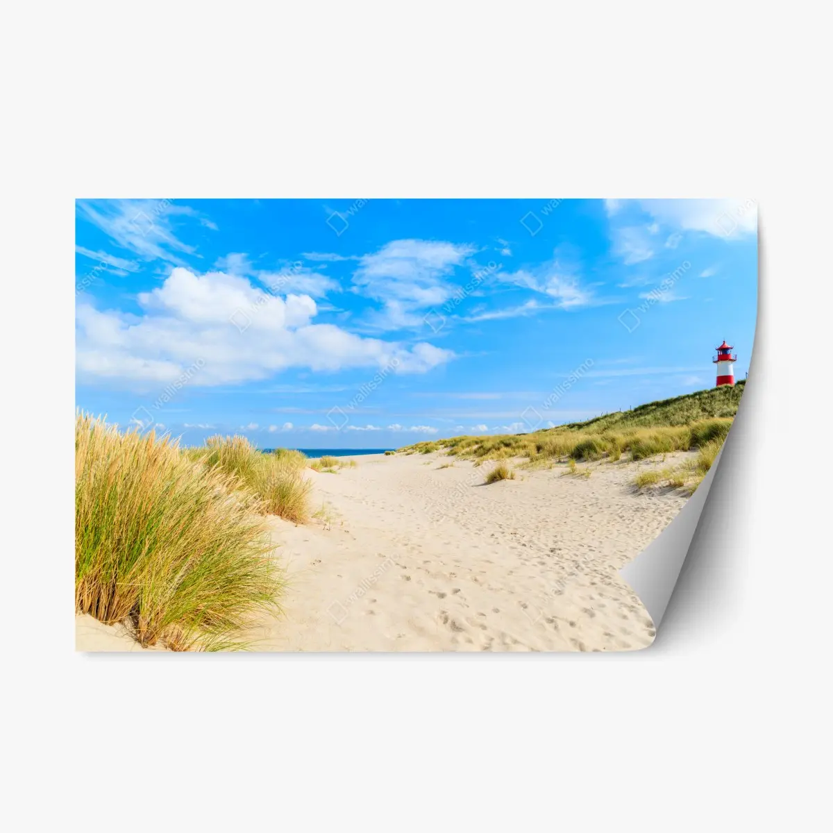 Adesivo riposizionabile serenità delle dune di Ellenbogen, Sylt • Wallissimo®