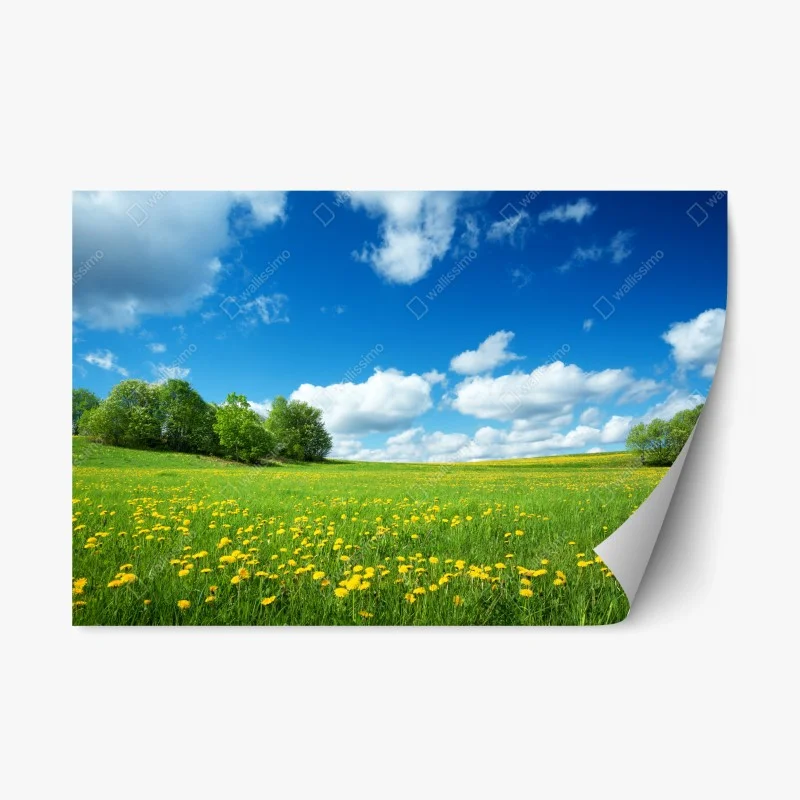 Adesivo riposizionabile campo fiorito sotto il cielo blu