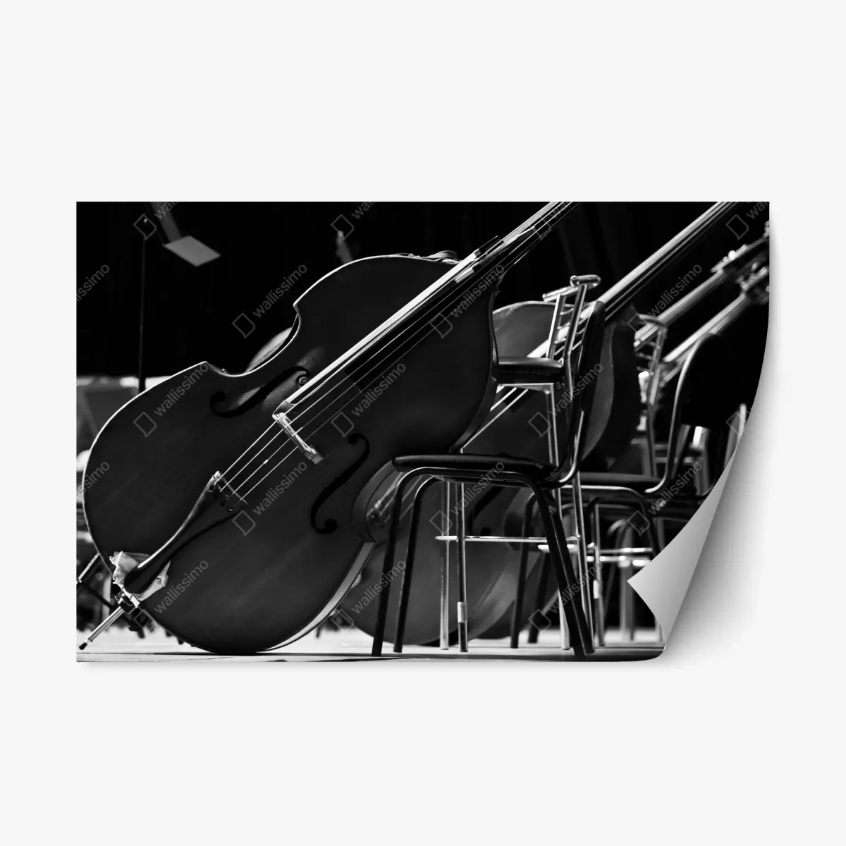 Adesivo riposizionabile contrabbassi in scena: eleganza musicale in bianco e nero • Wallissimo®