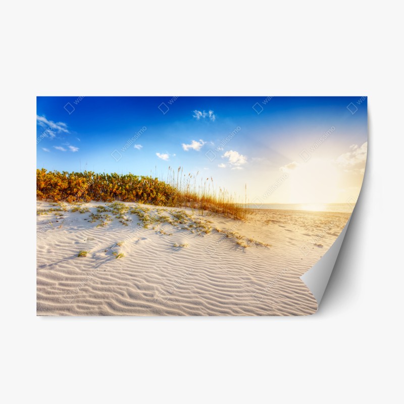 Adesivo riposizionabile tramonto a Grace Bay — dune dorate