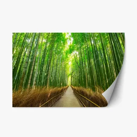 Adesivo riposizionabile viale di bambù ad Arashiyama, Kyoto • Wallissimo®