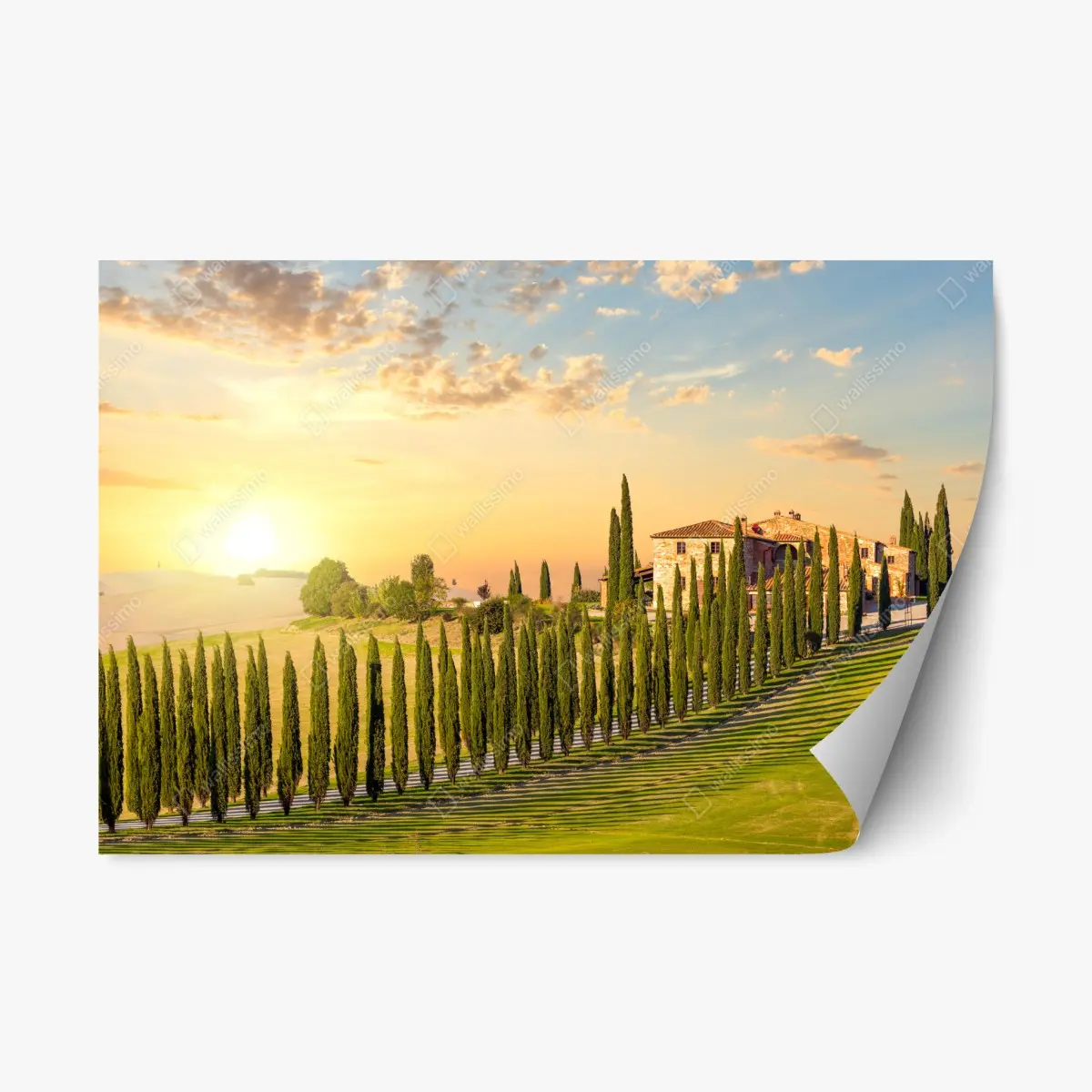Adesivo riposizionabile tramonto in Toscana: viale di cipressi e villa sulle colline • Wallissimo®