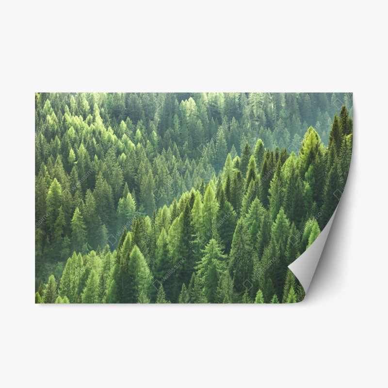 Adesivo riposizionabile onda verde della foresta