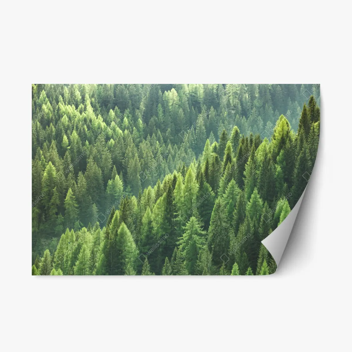Adesivo riposizionabile onda verde della foresta • Wallissimo®