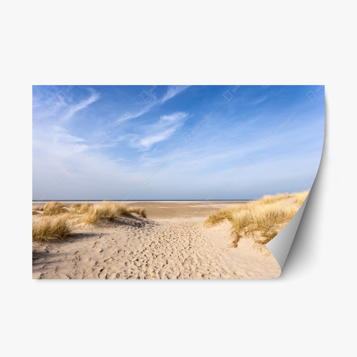 Adesivo riposizionabile orizzonte di dune e sabbia • Wallissimo®