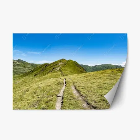 Adesivo riposizionabile paesaggio con sentiero alpino nello Zillertal, Austria • Wallissimo®
