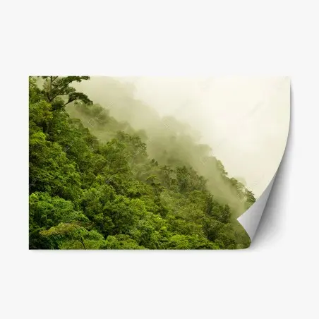 Adesivo riposizionabile foresta pluviale nebbiosa di Cairns • Wallissimo®