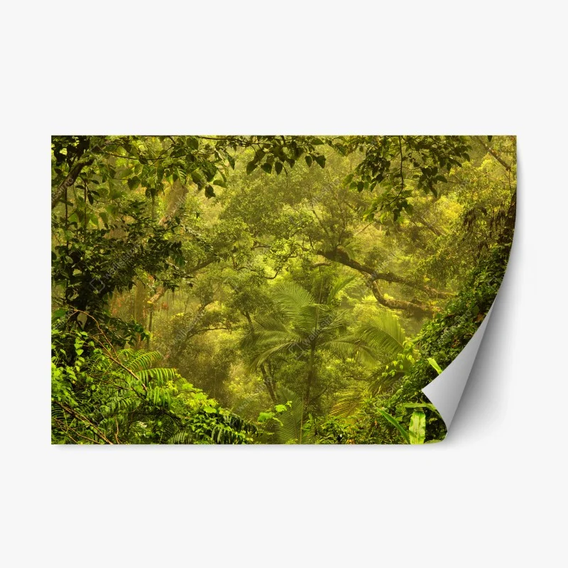 Adesivo riposizionabile oasi verde di Cairns, paesaggio tropicale