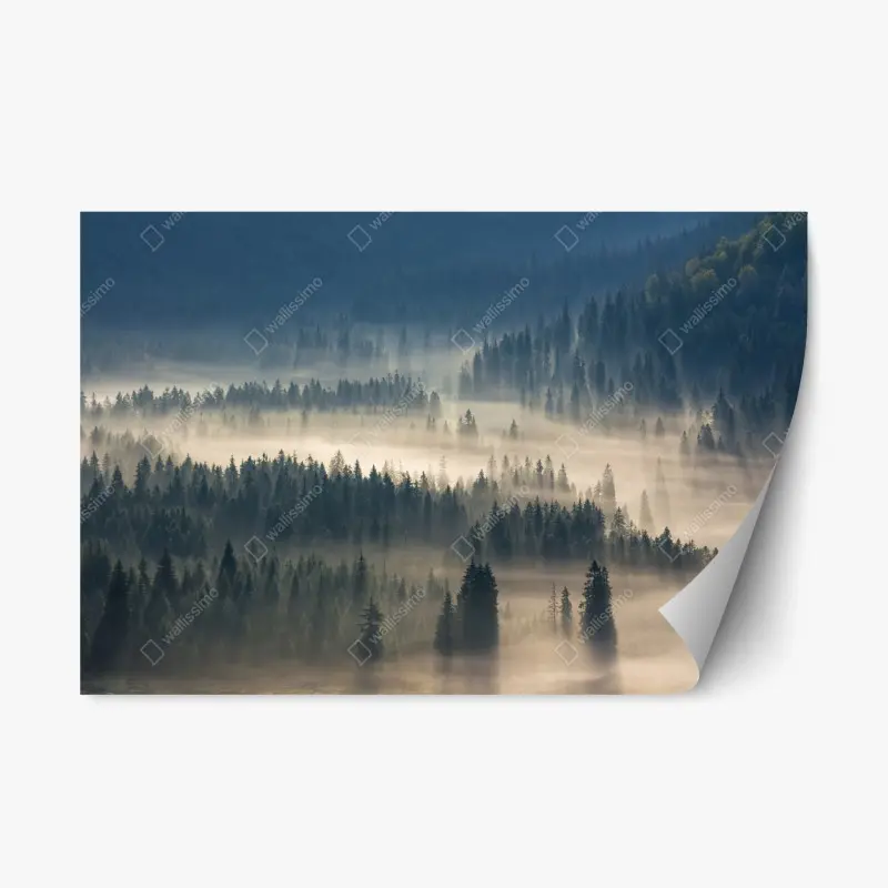 Adesivo riposizionabile nebbia tra gli abeti - panorama montano