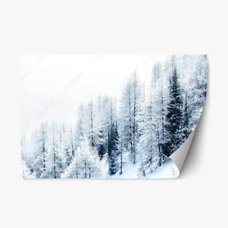 Adesivo riposizionabile silenzio invernale nel bosco coperto di neve • Wallissimo®
