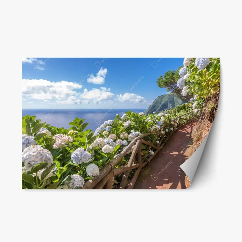 Adesivo riposizionabile sentiero di ortensie sul mare a São Miguel, Azzorre