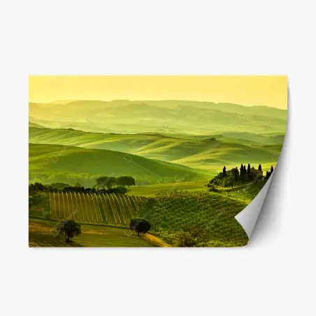 Adesivo riposizionabile colline dorate della Toscana • Wallissimo®
