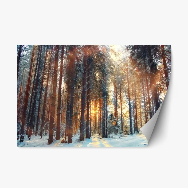 Adesivo riposizionabile foresta invernale con raggi dorati