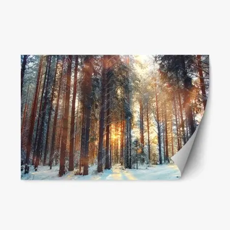 Adesivo riposizionabile foresta invernale con raggi dorati • Wallissimo®