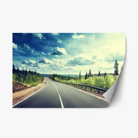 Adesivo riposizionabile strada verso l'orizzonte nella foresta • Wallissimo®