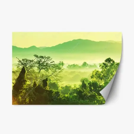 Adesivo riposizionabile alba verde nella giungla del Messico • Wallissimo®