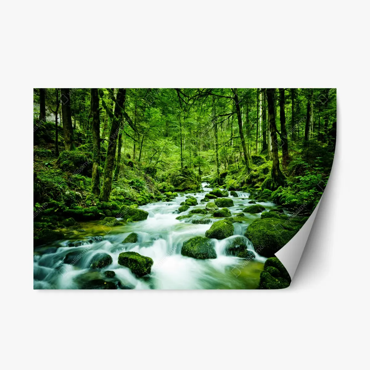 Adesivo riposizionabile ruscello smeraldo nella foresta • Wallissimo®