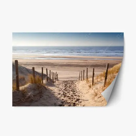 Adesivo riposizionabile sentiero di sabbia verso il Mare del Nord al tramonto • Wallissimo®