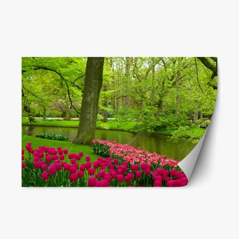 Adesivo riposizionabile tulipani rosa lungo il laghetto in primavera