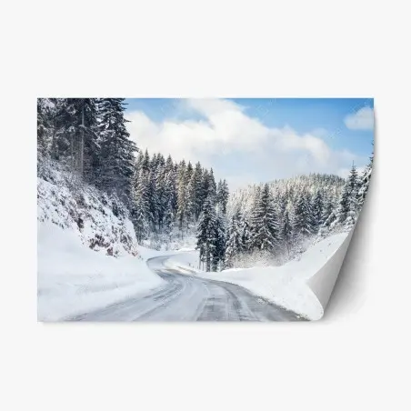 Adesivo riposizionabile strada innevata tra i pini • Wallissimo®