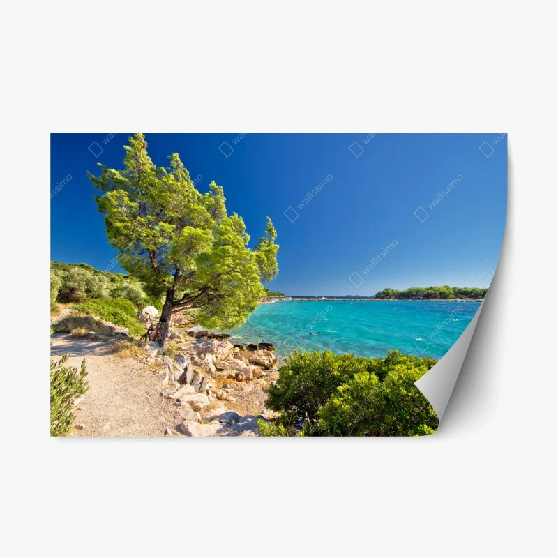 Adesivo riposizionabile sogno turchese a Murter