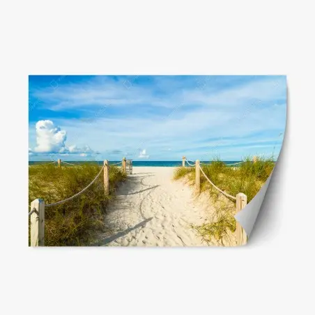 Adesivo riposizionabile sentiero verso il mare a Miami • Wallissimo®