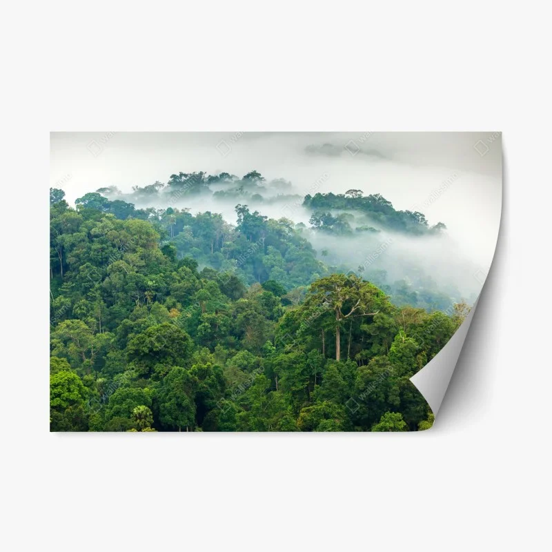 Adesivo riposizionabile foresta pluviale nella nebbia di Kaeng Krachan