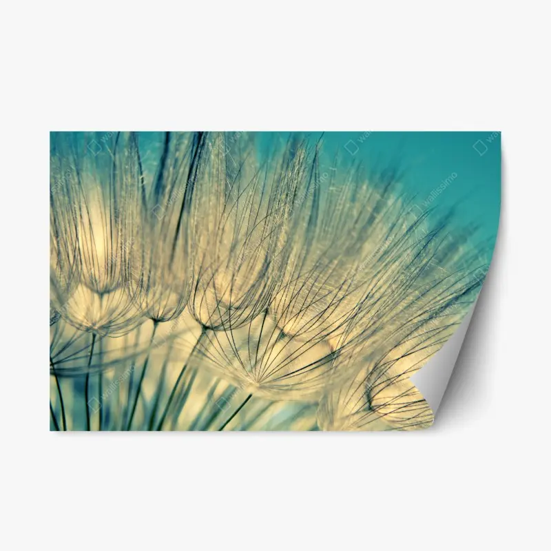 Adesivo riposizionabile soffione azzurro - eleganza naturale