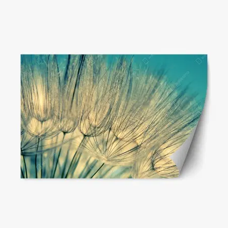 Adesivo riposizionabile soffione azzurro - eleganza naturale • Wallissimo®